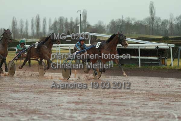 IMG 0230 prot