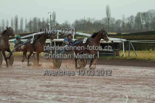 IMG 0231 prot