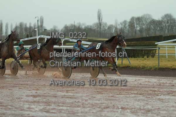 IMG 0232 prot