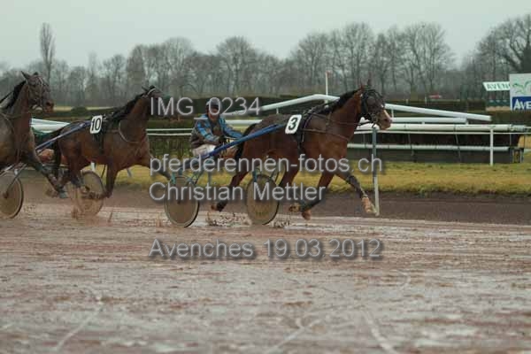 IMG 0234 prot