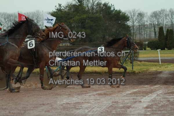 IMG 0243 prot