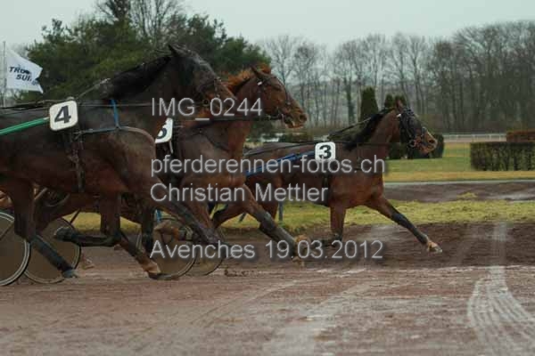 IMG 0244 prot