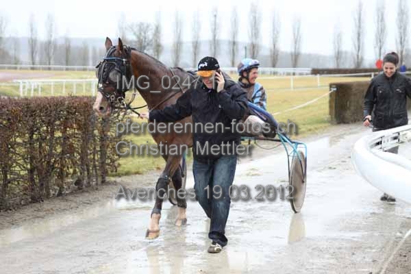IMG 0247.1 prot