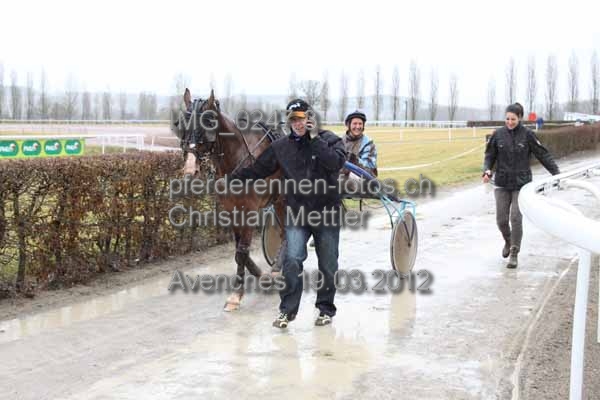 IMG 0247.3 prot