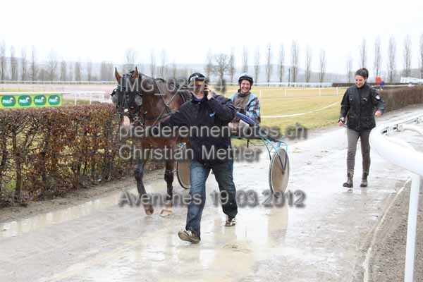 IMG 0247.4 prot