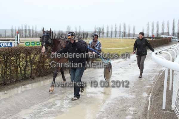 IMG 0247.5 prot