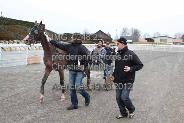 IMG 0248.2 prot
