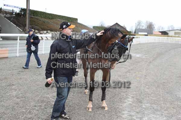 IMG 0248.4 prot