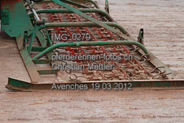 IMG 0279 prot