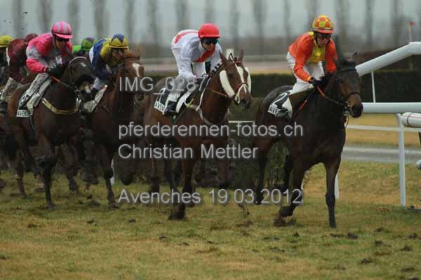 IMG 0287 prot