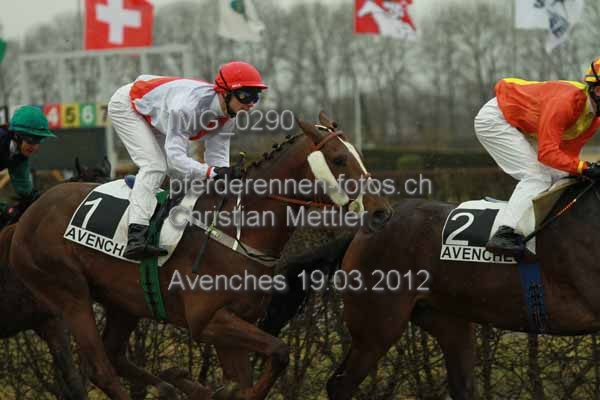 IMG 0290 prot