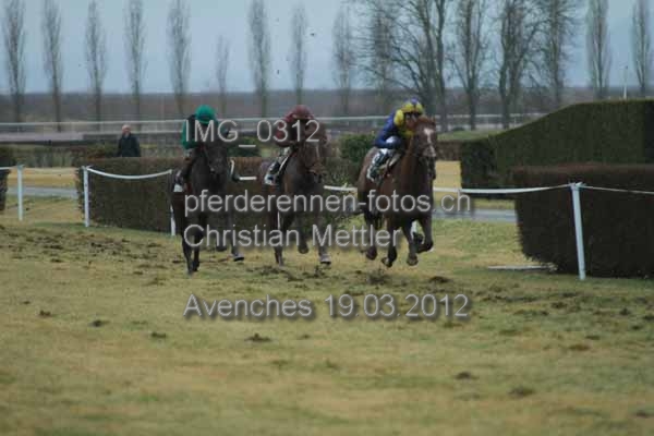 IMG 0312 prot
