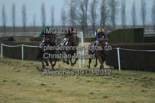 IMG 0314 prot