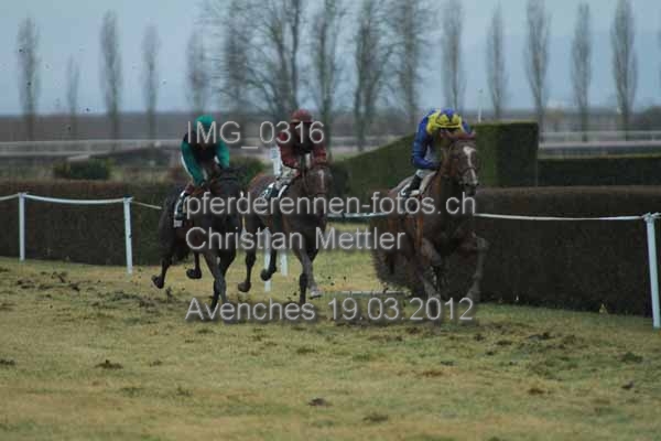 IMG 0316 prot