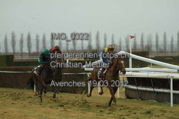 IMG 0322 prot