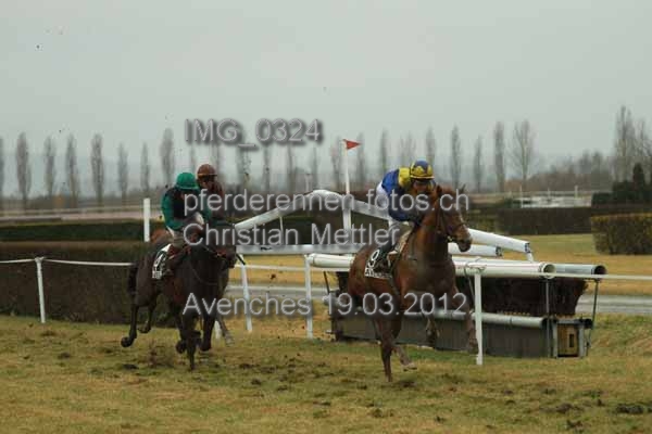 IMG 0324 prot