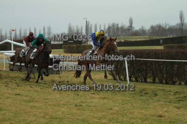 IMG 0326 prot