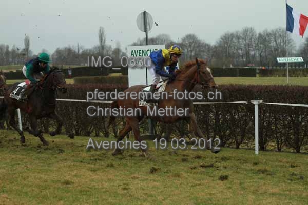 IMG 0330 prot