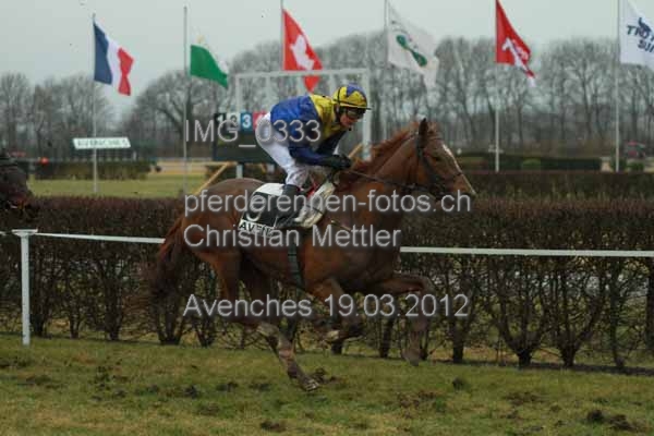 IMG 0333 prot