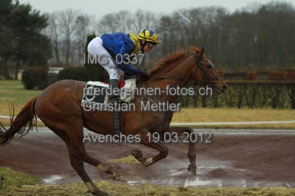 IMG 0337 prot