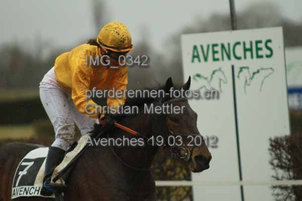 IMG 0342 prot