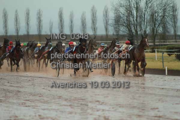 IMG 0348 prot