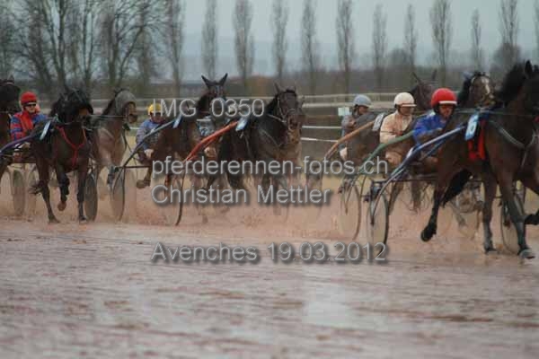IMG 0350 prot