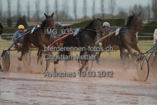 IMG 0353 prot