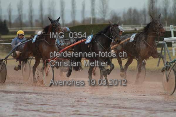 IMG 0354 prot