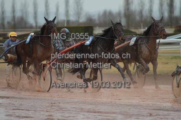 IMG 0355 prot