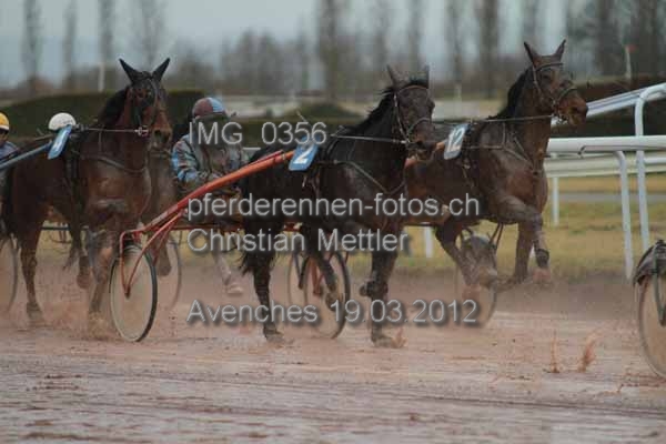 IMG 0356 prot