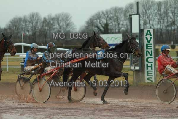 IMG 0359 prot