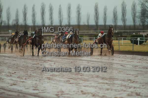 IMG 0366 prot