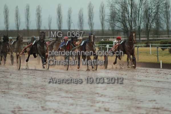 IMG 0367 prot