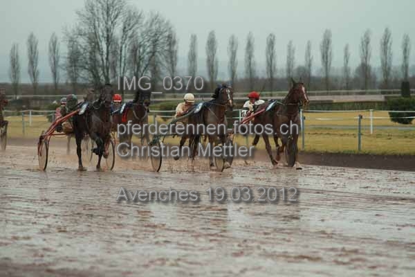 IMG 0370 prot