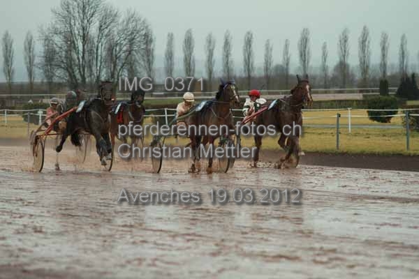 IMG 0371 prot