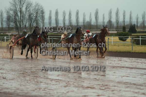 IMG 0372 prot