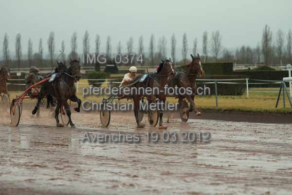 IMG 0374 prot