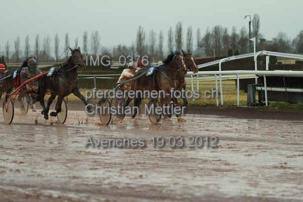 IMG 0376 prot