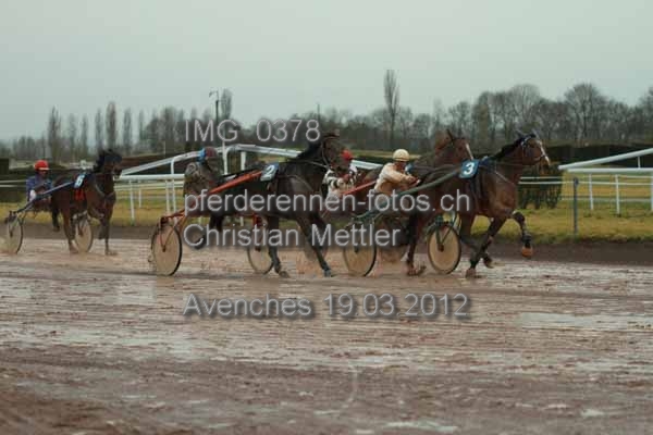 IMG 0378 prot