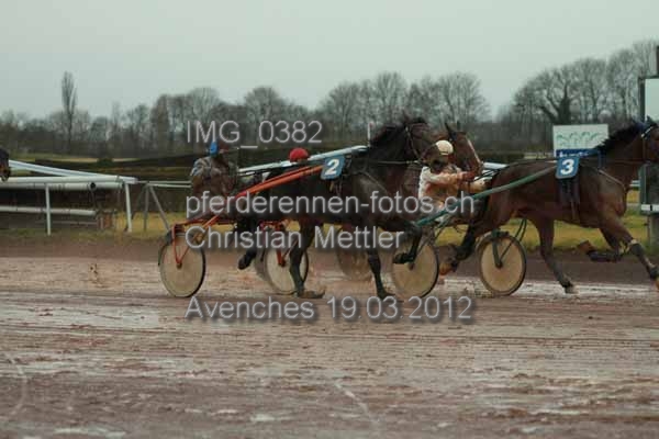 IMG 0382 prot