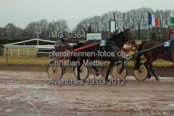 IMG 0384 prot