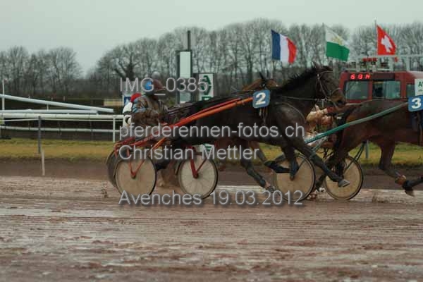IMG 0385 prot