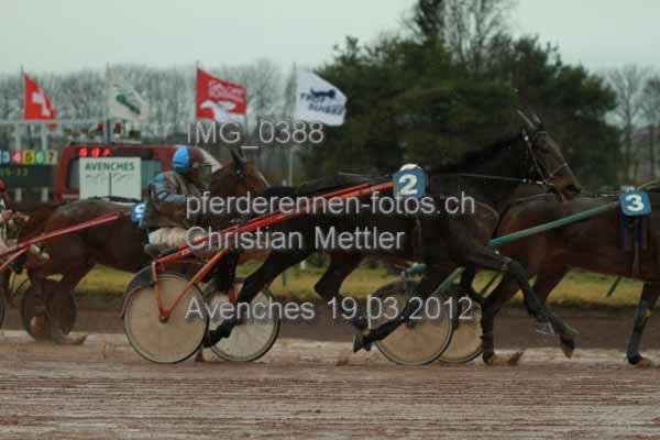 IMG 0388 prot