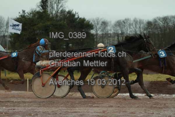 IMG 0389 prot