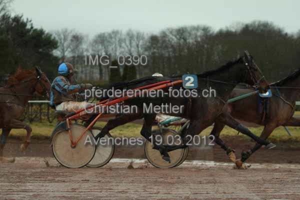 IMG 0390 prot