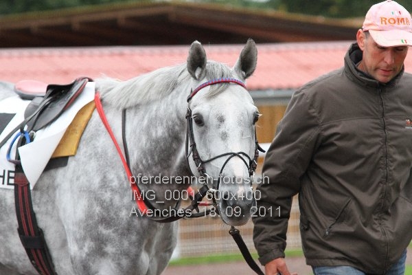 IMG 0001 600x400 prot