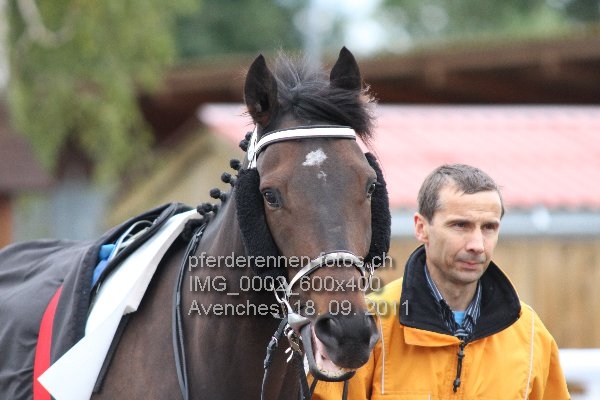 IMG 0002 600x400 prot