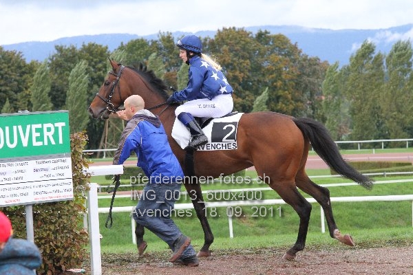 IMG 0013 600x400 prot