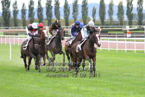 IMG 0018 600x400 prot